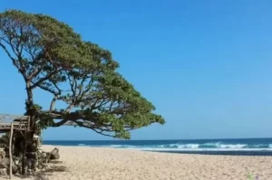 Pok Tunggal Beach in Gunungkidul