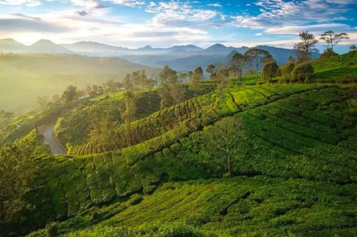 Sunrise Point Cukul, The Best Place to Enjoy the Beauty of the Sunrise in Bandung